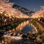 구룡마을 벚꽃축제 야간 조명이 비친 동삼해수천과 벚꽃길의 환상적인 풍경