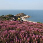 여수 영취산 정상에서 바라본 진달래 군락과 남해 바다 풍경