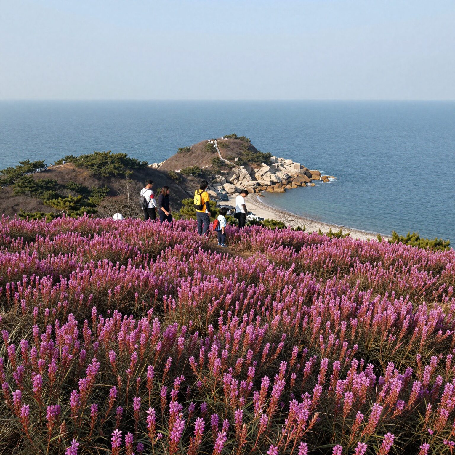 여수 영취산 정상에서 바라본 진달래 군락과 남해 바다 풍경