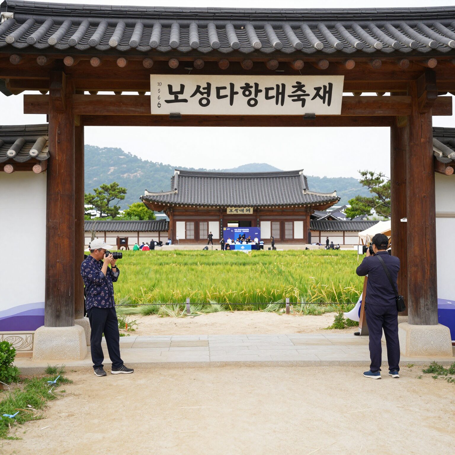 2026 보성다향대축제 차밭 전경과 행사장 입구 사진