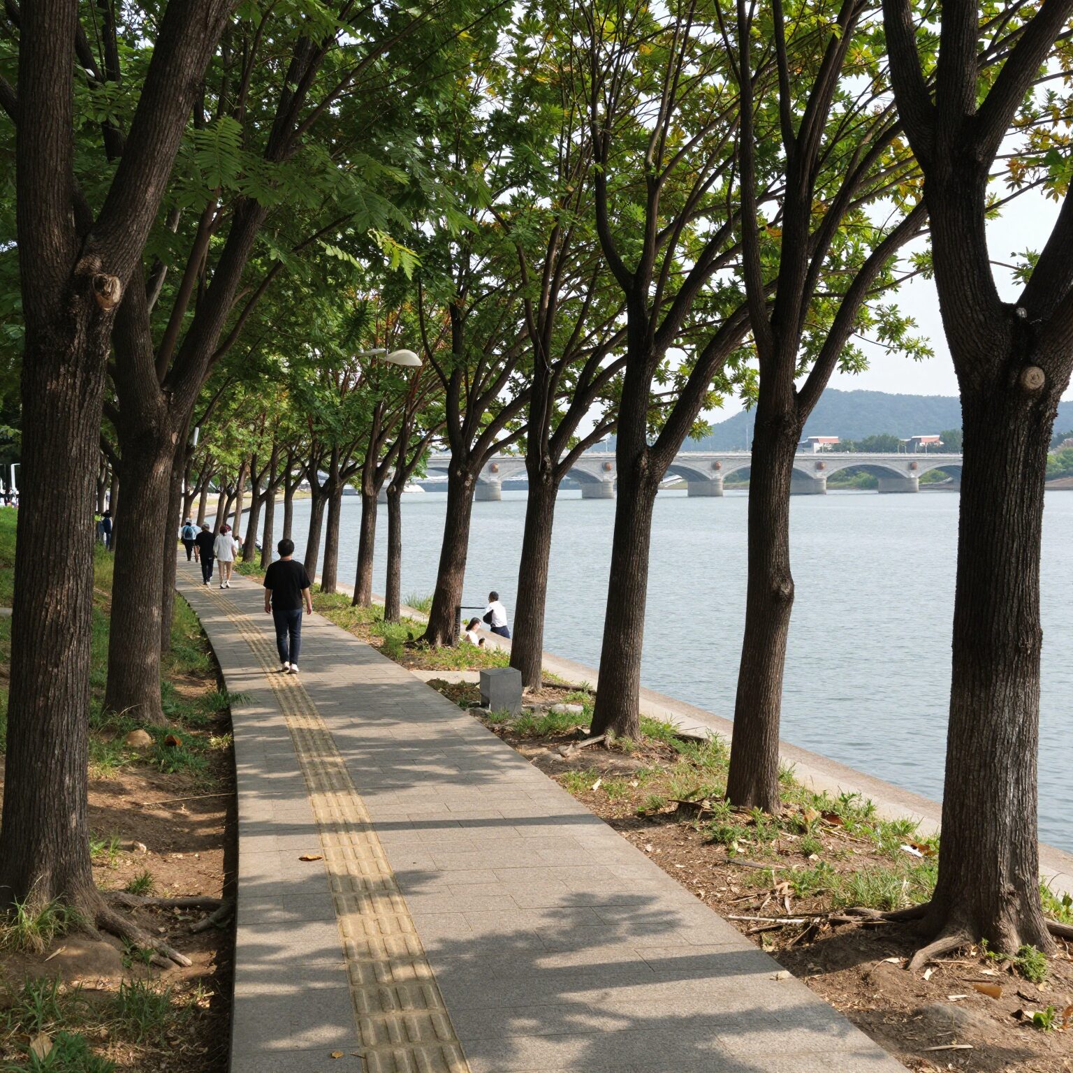 곡교천 은행나무길과 이순신관광체험센터 여해나루 전경