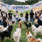 2026 임실N펫스타 행사장 전경과 반려견들이 함께 즐기는 모습
