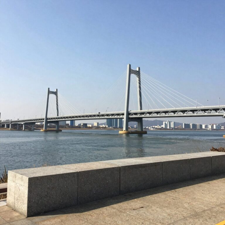 서빙고길에서 바라본 반포대교와 한강 풍경