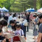 서대전공원에서 열린 세계인 어울림 축제의 다양한 체험 부스와 방문객들이 즐기는 모습