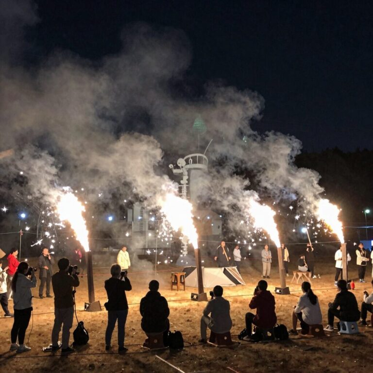 화성 뱃놀이 축제 야간 불빛 공연과 불꽃놀이 장면