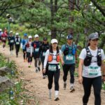 제12회 하늘숲길 걷기축제 하늘숲길 트레킹 참가자들