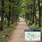 공릉역에서 동부아파트 삼거리까지 이어지는 경춘선 숲길 산책로와 축제 구역 안내 지도