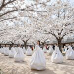한산모시관 앞마당에서 펼쳐지는 한산모시문화제 전경, 흰색 모시천이 바람에 나부끼는 모습