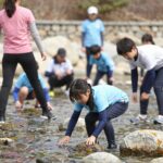 강정마을 생태축제 7월 제주 여행 꿀팁 강정마을 생태축제에서 아이들이 강정천에서 스노클링을 즐기고 있는 모습