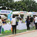 서울광장에서 열리는 농촌여행 페스티벌 전경으로 다채로운 부스와 방문객들이 즐기는 모습