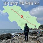 영덕 stay night 별빛걷기 축제 일정 영덕 별파랑 야간 트레킹 코스 지도와 주요 포인트