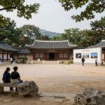 영월 동강국제사진제 24회 한눈에 동강사진박물관 야외광장 전경, 탁 트인 개방감이 돋보이는 공간