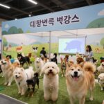 2026 대한민국 펫캉스 구미 완벽 정보 2026년 7월 구미코에서 열리는 대한민국 펫캉스 행사장 내부와 반려동물 체험 부스 전경