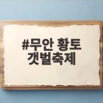 무안 황토 갯벌축제