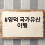 영덕 국가유산 야행