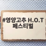 영양고추 H.O.T 페스티벌