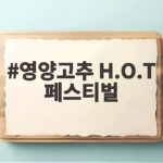 2026 영양고추 H.O.T 페스티벌 영양고추 H.O.T 페스티벌