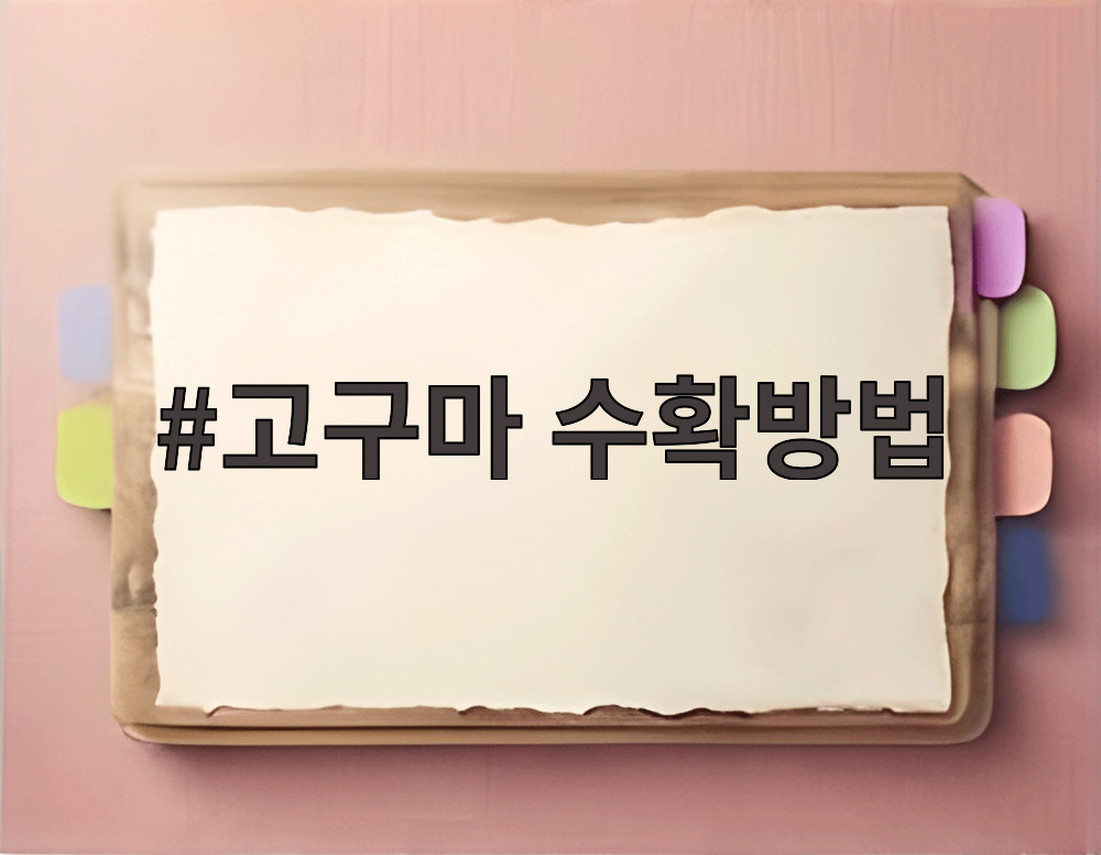 고구마 수확방법