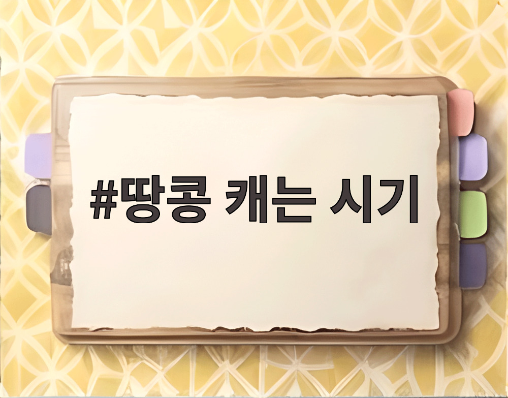 땅콩 캐는 시기