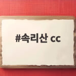 속리산 cc