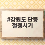 강원도 단풍 절정시기 10월 일정 이렇게만 준비하세요 강원도 단풍 절정시기