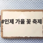 인제 가을 꽃 축제