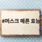 머스크 메론 효능