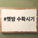햇밤 수확시기 9월이 제철인 이유와 맛있게 고르는 팁 햇밤 수확시기