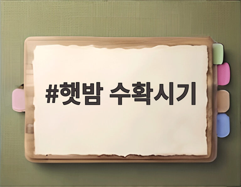 햇밤 수확시기