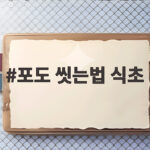 포도 씻는법 식초