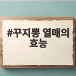 꾸지뽕 열매의 효능