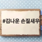 김나운 손질새우