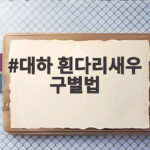 대하 흰다리새우 구별법 크기만 보면 속아요 이 특징을 확인하세요 대하 흰다리새우 구별법