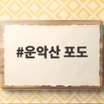 운악산 포도