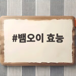 뱀오이 효능
