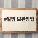 알밤 보관방법