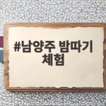 남양주 밤따기 체험 아이와 가을 자연에서 즐기는 특별한 하루 남양주 밤따기 체험