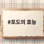포도의 효능 알고 먹으면 더 맛있는 제철 과일의 비밀 포도의 효능