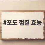 포도 껍질 효능 껍질째 먹어야 하는 이유와 올바른 세척법 포도 껍질 효능