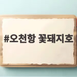 오천항 꽃돼지호