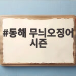 동해 무늬오징어 시즌
