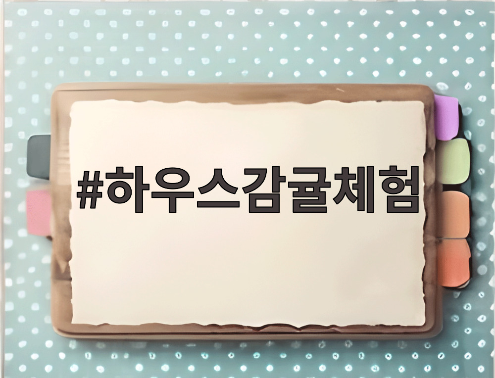 하우스감귤체험