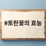 토란꽃의 효능 생각보다 놀라운 이유와 키우며 발견한 이야기 토란꽃의 효능