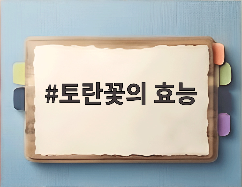 토란꽃의 효능