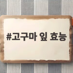 고구마 잎 효능