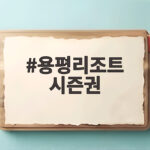 용평리조트 시즌권