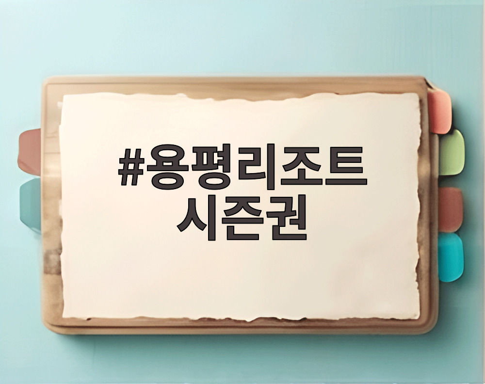 용평리조트 시즌권