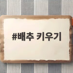 배추 키우기 초보자도 성공하는 텃밭 관리법 배추 키우기