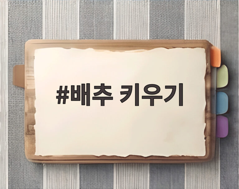 배추 키우기