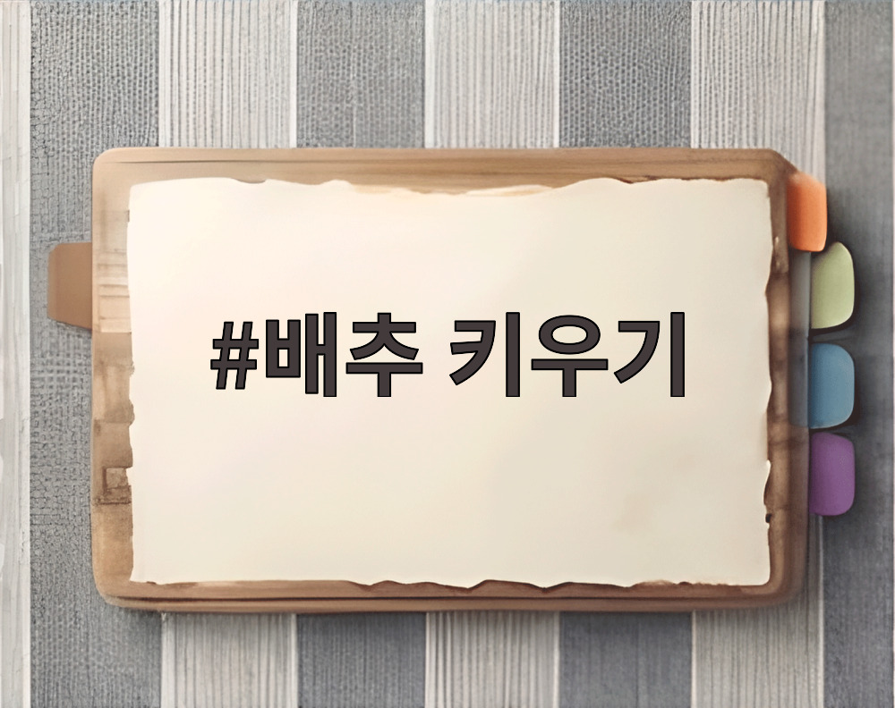 배추 키우기